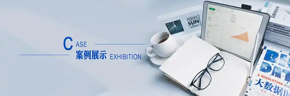苍南县软件开发
